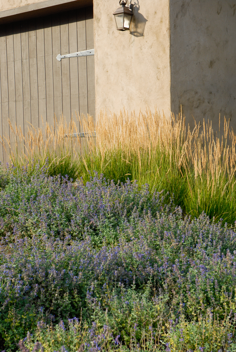 Patio Home Curb Appeal